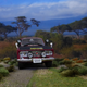Illustration for article titled Forty 3rd: THE GRUELING SAFARI RALLY PART 1